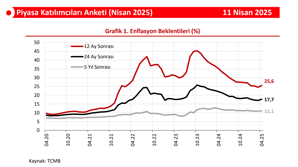 ANALİZ:  TCMB Anketi ne diyor?