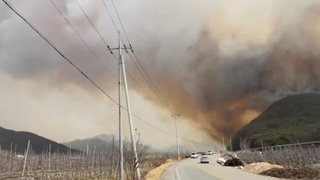 Güney Kore’deki orman yangınları: Hayatını kaybedenlerin sayısı artıyor