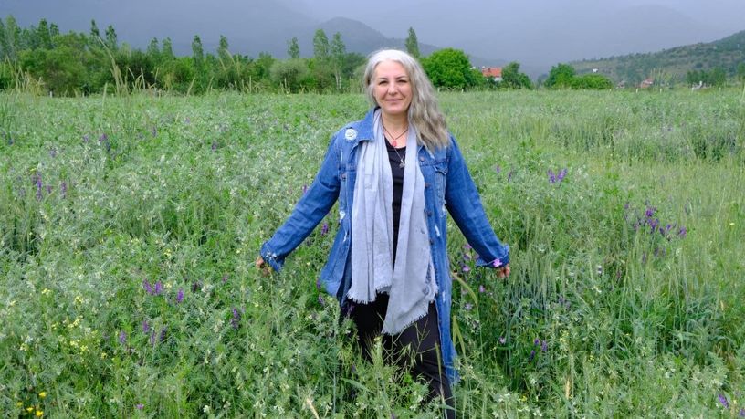 Tarım ve Gıda Politikaları Kurulu Başkanvekili Prof. Dr. Ögel oldu