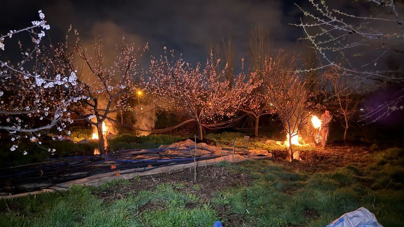 Zirai don afeti birçok tarım ürününü vurdu