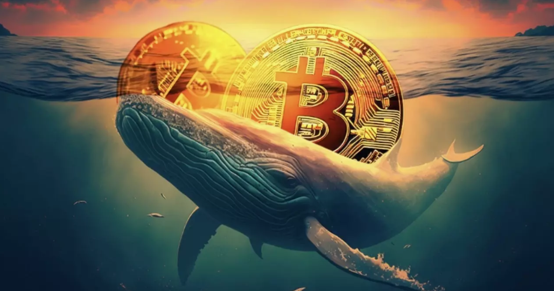 Kripto Balinaları Harekete Geçti: Hangi Altcoin’lerde Büyük Alım Var?
