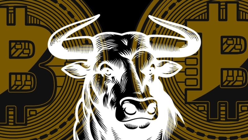 Altcoin Rallisi Başlıyor! Her Gün Yüzde 40’lık Kazançlar Olacak! Analist Açıkladı!