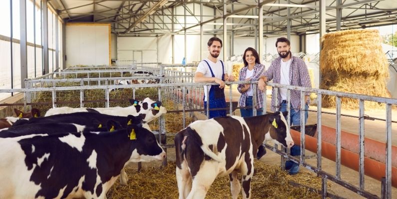 Çiğ süt üretimi: İnek Sütü yükseldi, keçi ve koyun sütü geriledi