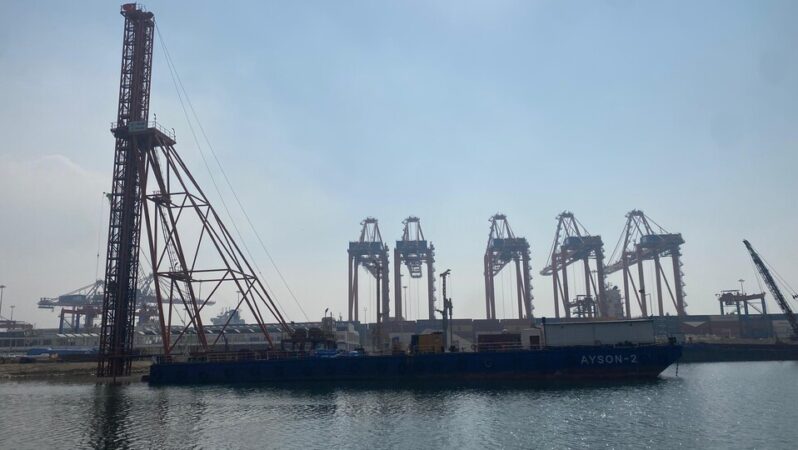 İthal edilen 2 bin tonu aşkın tohumluk patates virüslü çıktı