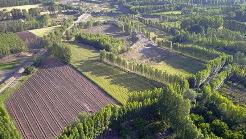 Mülkiyet bekleyen 5 milyon kişiye müjde! 2B arazilerinde tapu süreci başladı