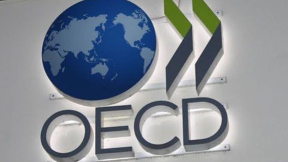 OECD, Türkiye ve küresel büyüme tahminini düşürdü